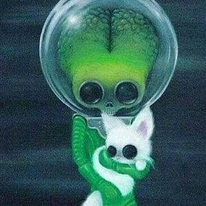 Meet your Posher, Bonnie